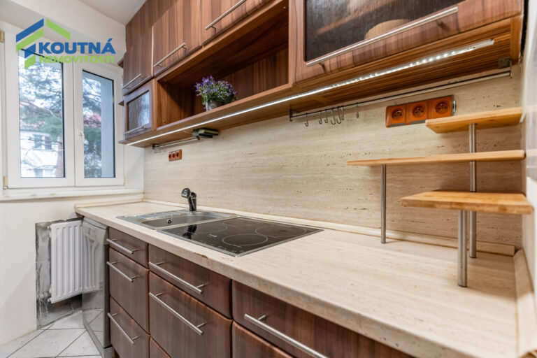 2025-03-27_Dolní 503, Fren 09