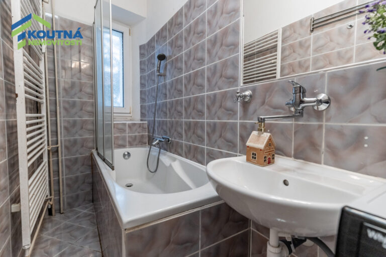 2025-03-27_Dolní 503, Fren 19