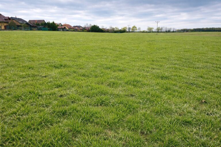 50CA654D-FCDA-4740-A5DC-8E81A11AAF02