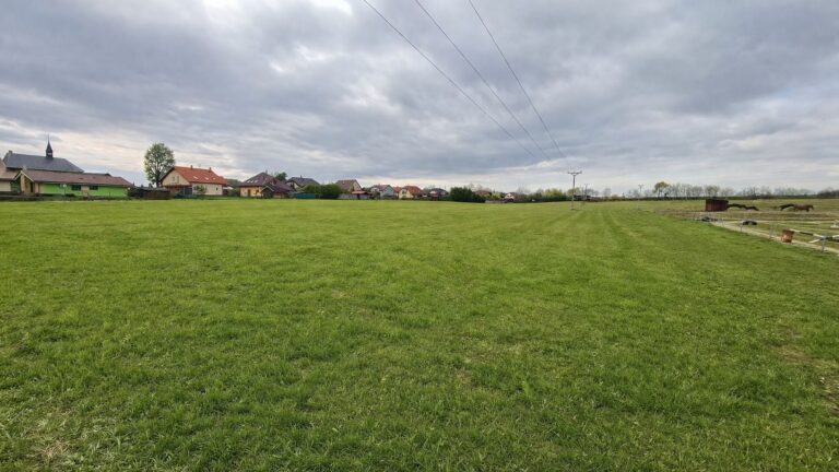 65A53C78-CDDB-4813-8348-ACD1A3C2FF55